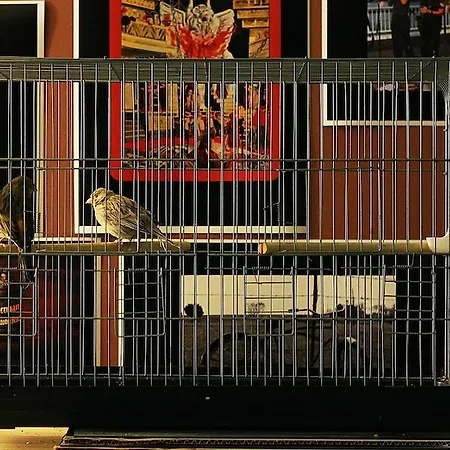 Hostel Hosteleski Εσκίσεχιρ