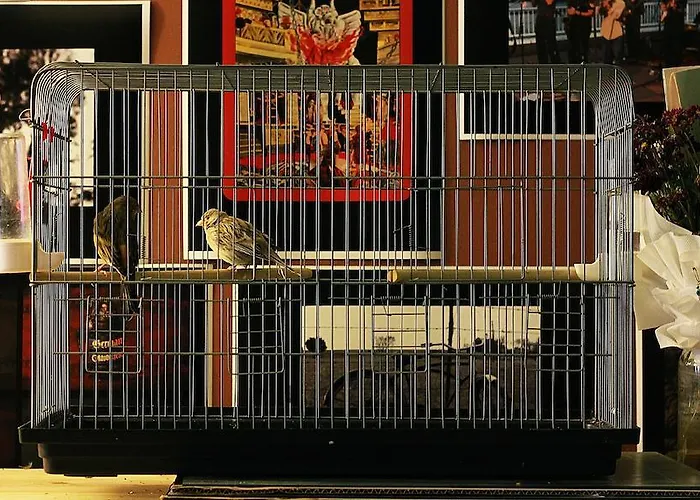 Hostel Hosteleski Eskişehir